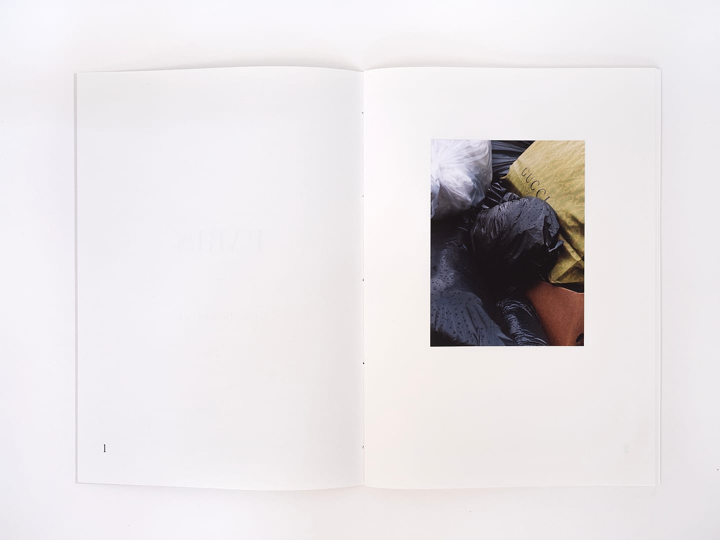 </br></br> Paris </br></br>Daniëlle van Ark</br> - Image 3