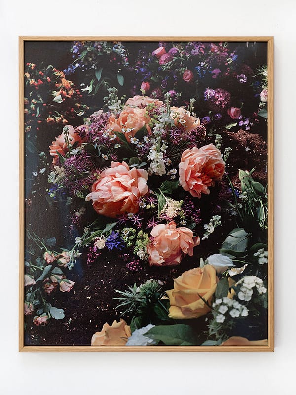 </br></br> Still Life #01 </br></br> Danielle van Ark