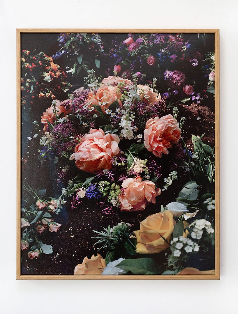 </br></br> Still Life #01 </br></br> Danielle van Ark